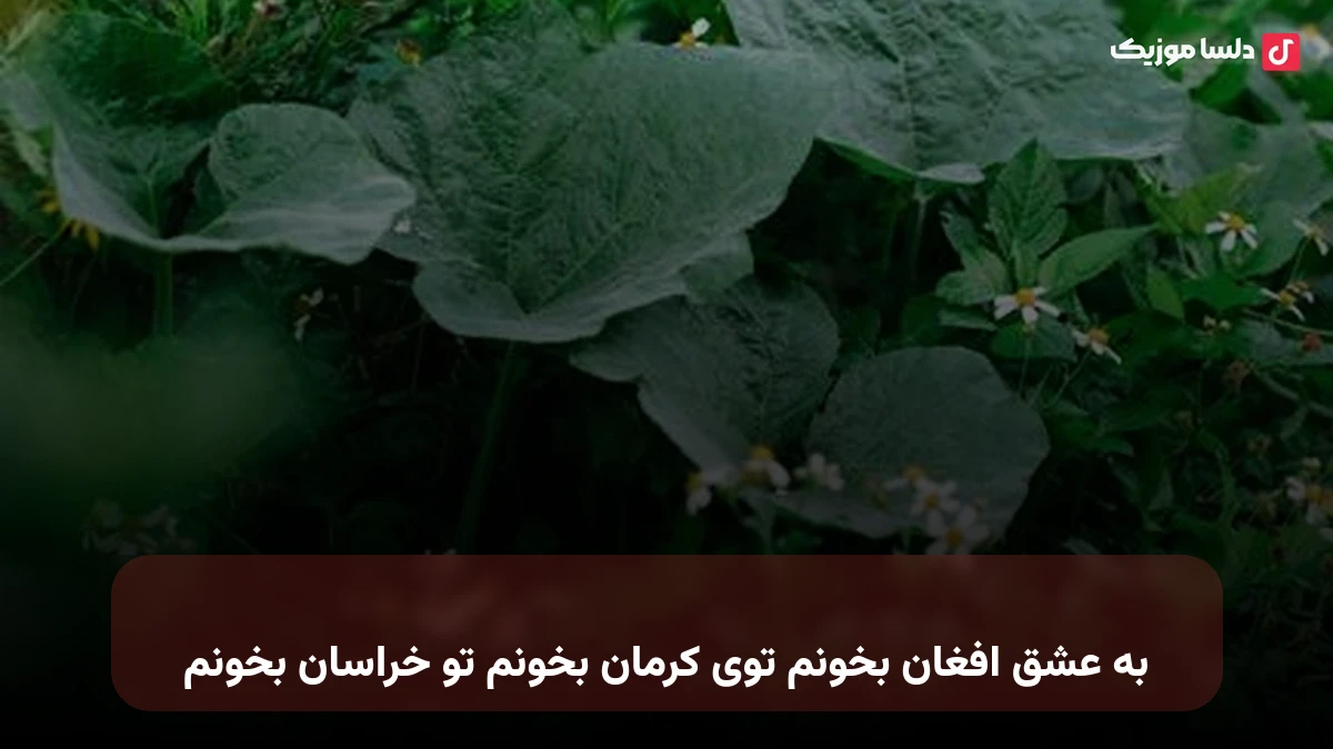 به عشق افغان بخونم توی کرمان بخونم تو خراسان بخونم از سهراب ابوترابی